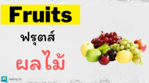 คําศัพท์ภาษาอังกฤษผลไม้ Fruits